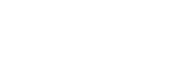 Gordian Solutions Group